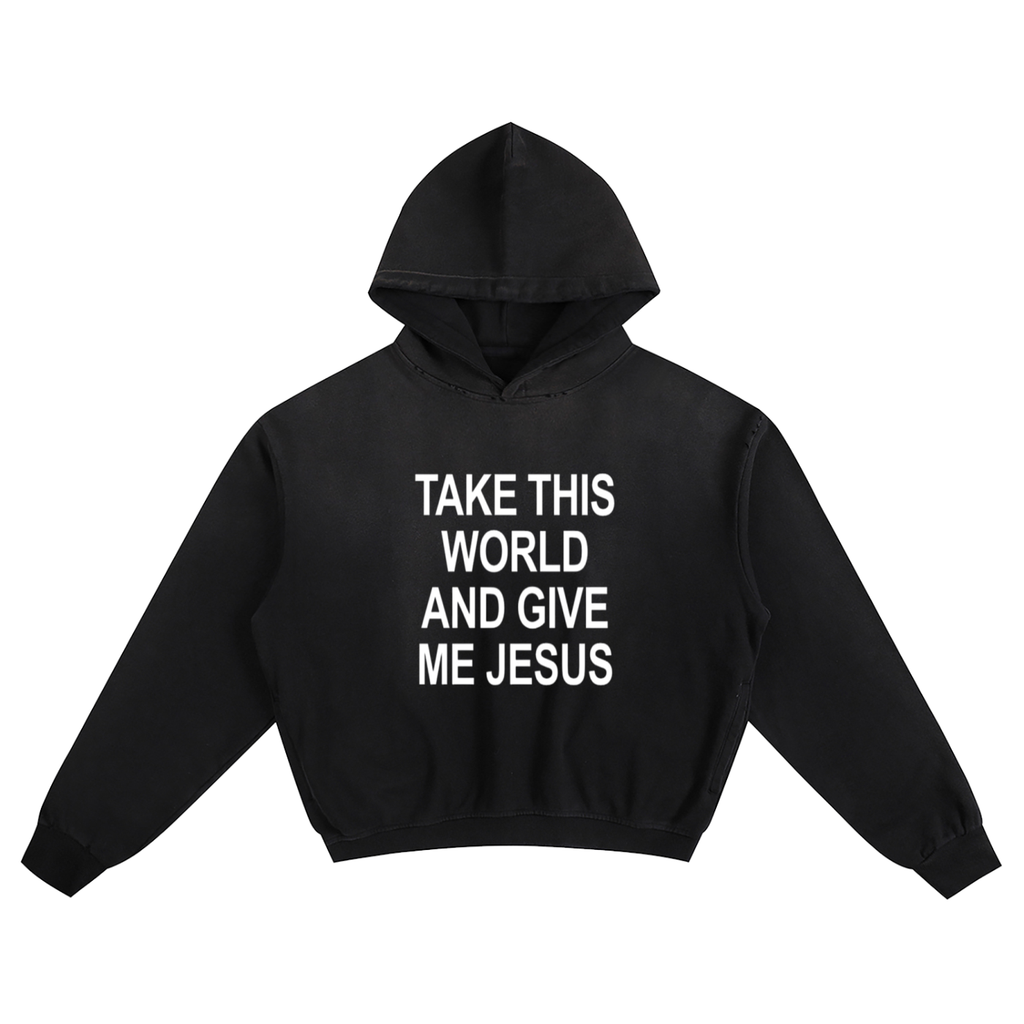 take this world and give me jesus | sunfade boxy