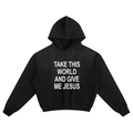 take this world and give me jesus | sunfade boxy