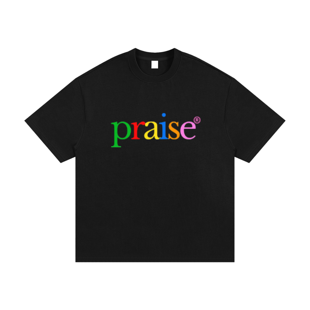 praise | heavyweight cotton tee