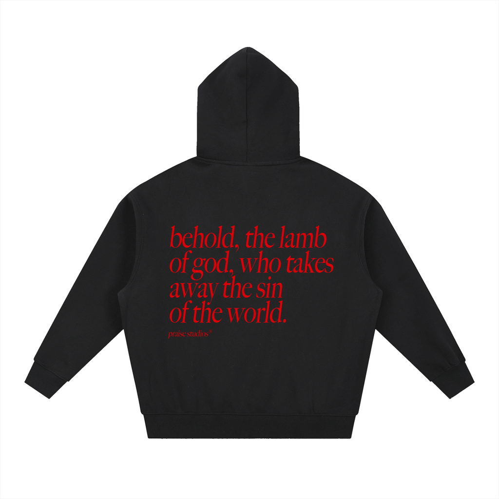 behold the lamb of god | boxy hoodie